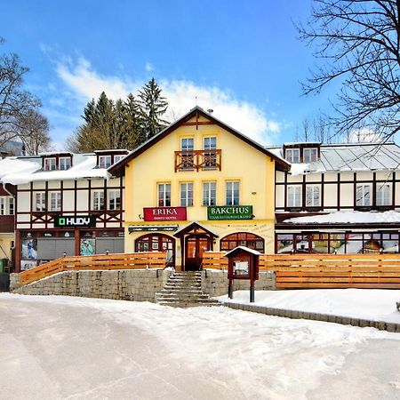 Hotel Erika Špindlerŭv Mlýn Exterior foto